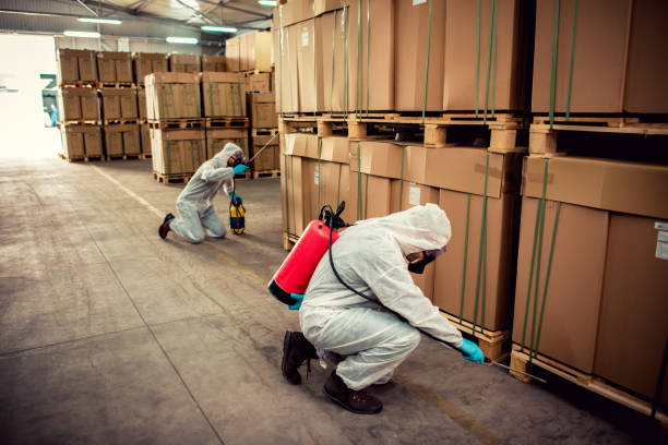 Best Pest Control Treatment  in Gruetli Laager, TN