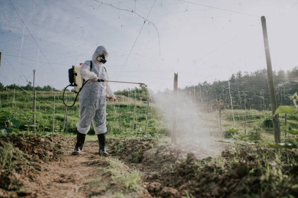 Best Ant Control Services  in Gruetli Laager, TN
