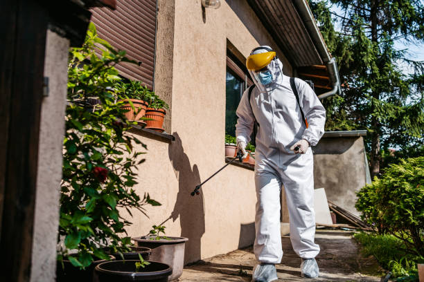 Best Pest Prevention Services  in Gruetli Laager, TN