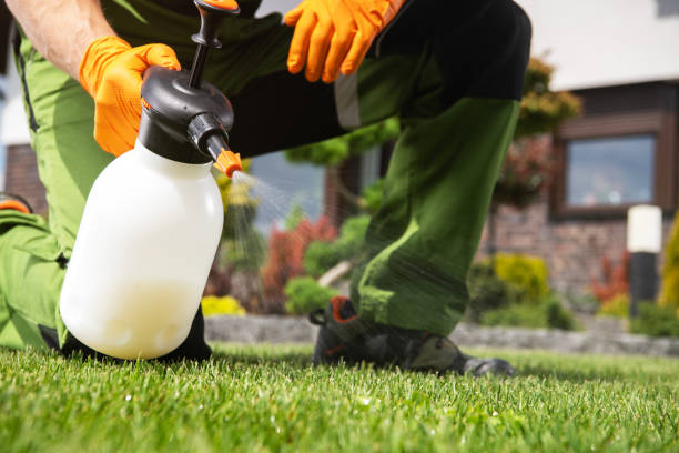 Best Bed Bug Extermination  in Gruetli Laager, TN