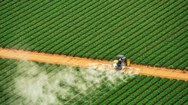Reliable Gruetli Laager, TN Pest Control Solutions