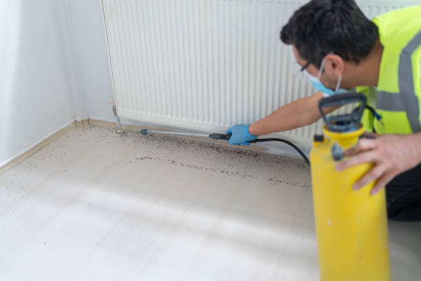 Best Exterminator Services  in Gruetli Laager, TN