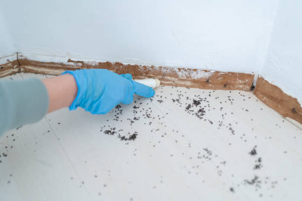 Best Commercial Pest Control Services  in Gruetli Laager, TN